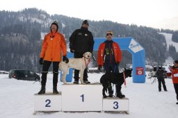 Lenk 2012 SM